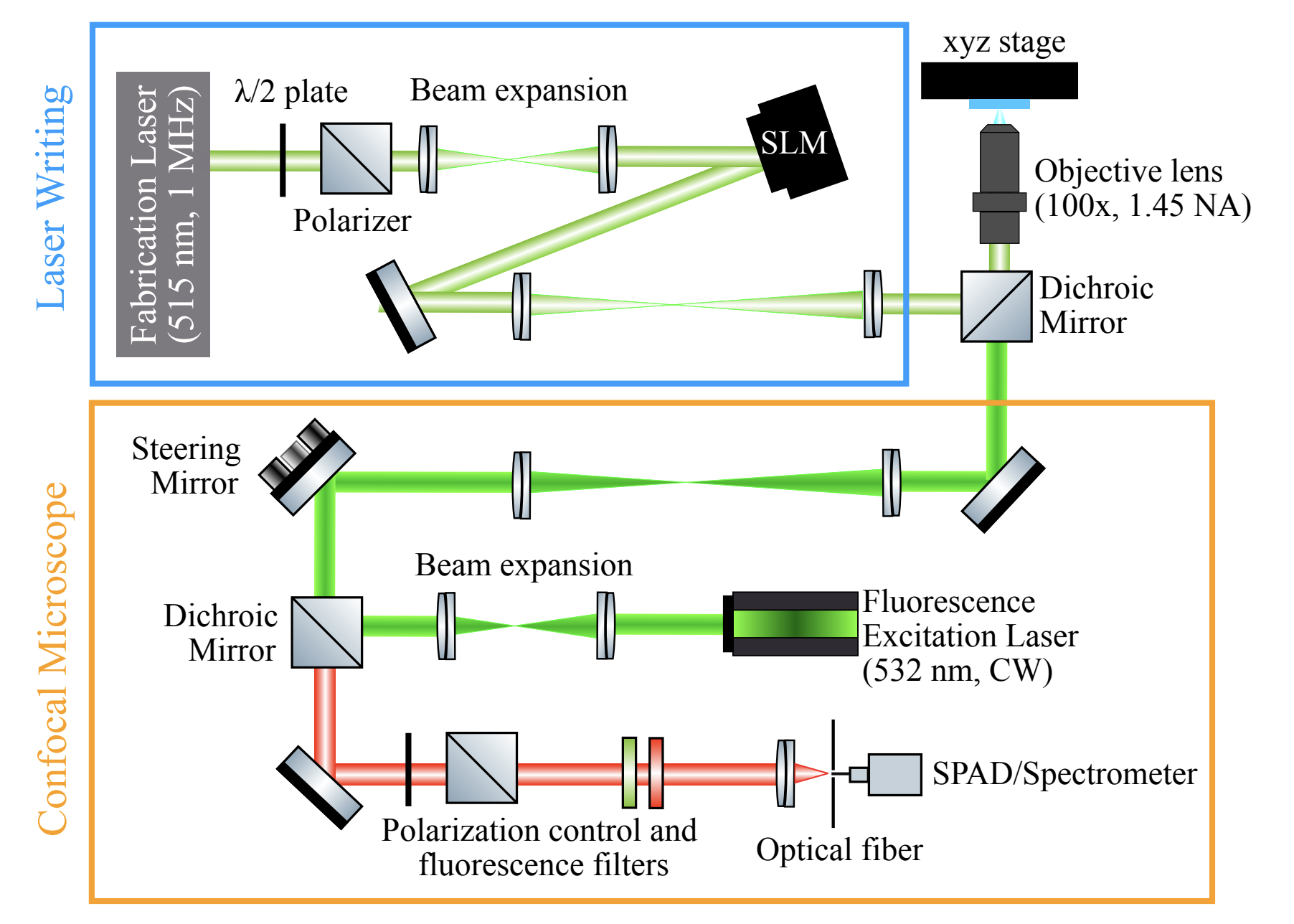 Femtosecond Laser Annealing Orients Nitrogen-Vacancy Centers for Enhanced Magnetometry Performance