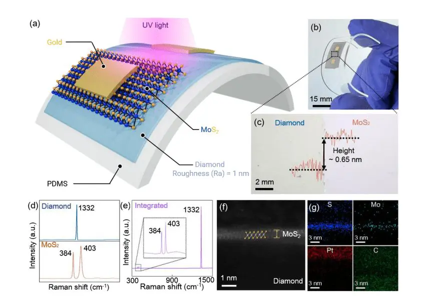 Large-Area Flexible Diamond Detectors Enable Self-Powered Ultraviolet Sensing