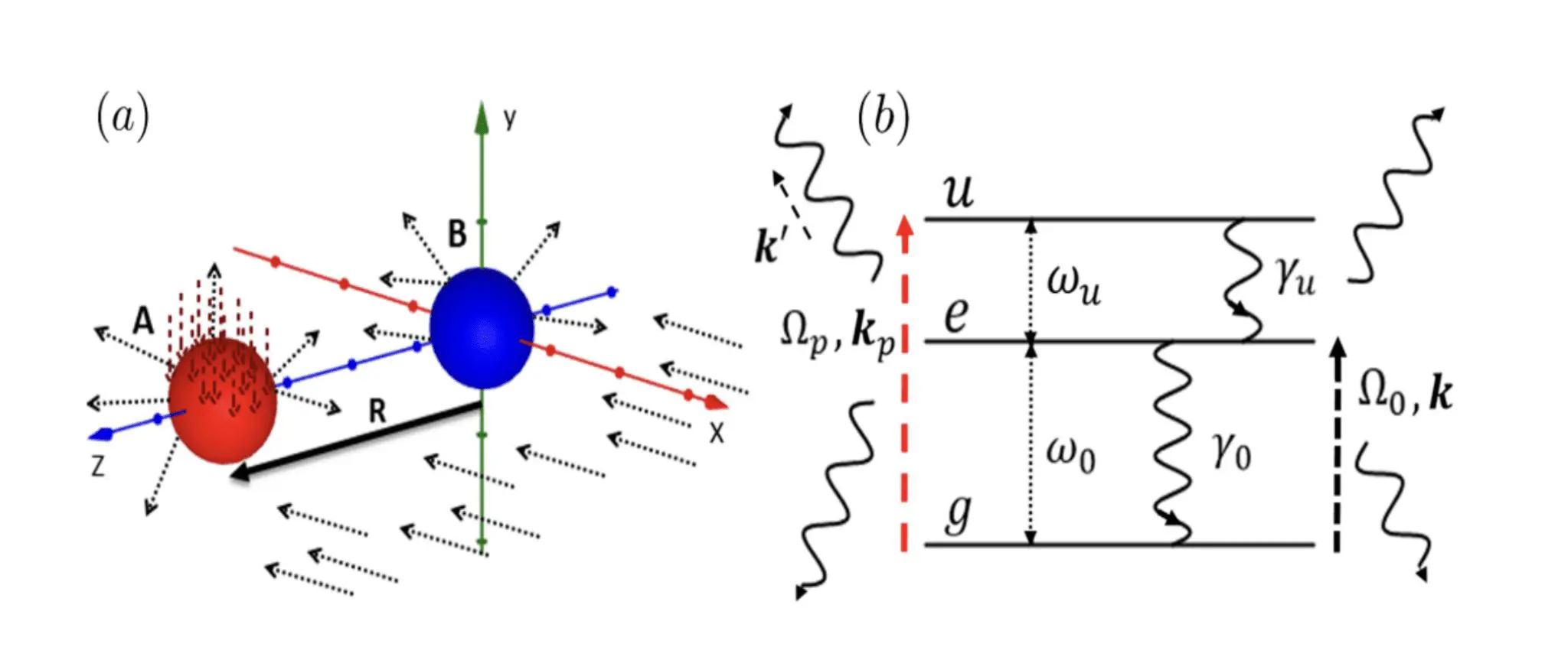 Atomic Pair Interactions Control Light Scattering and Absorption Efficiency.