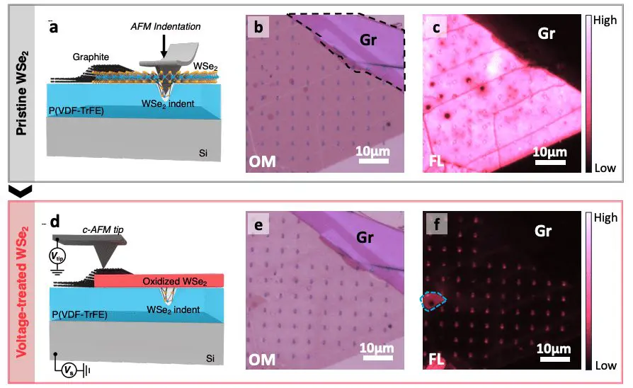 Voltage Control Boosts Single-Photon Purity