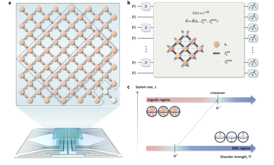 70-Qubit Simulator Demonstrates Many-Body Localization in Two-Dimensional Disordered Systems