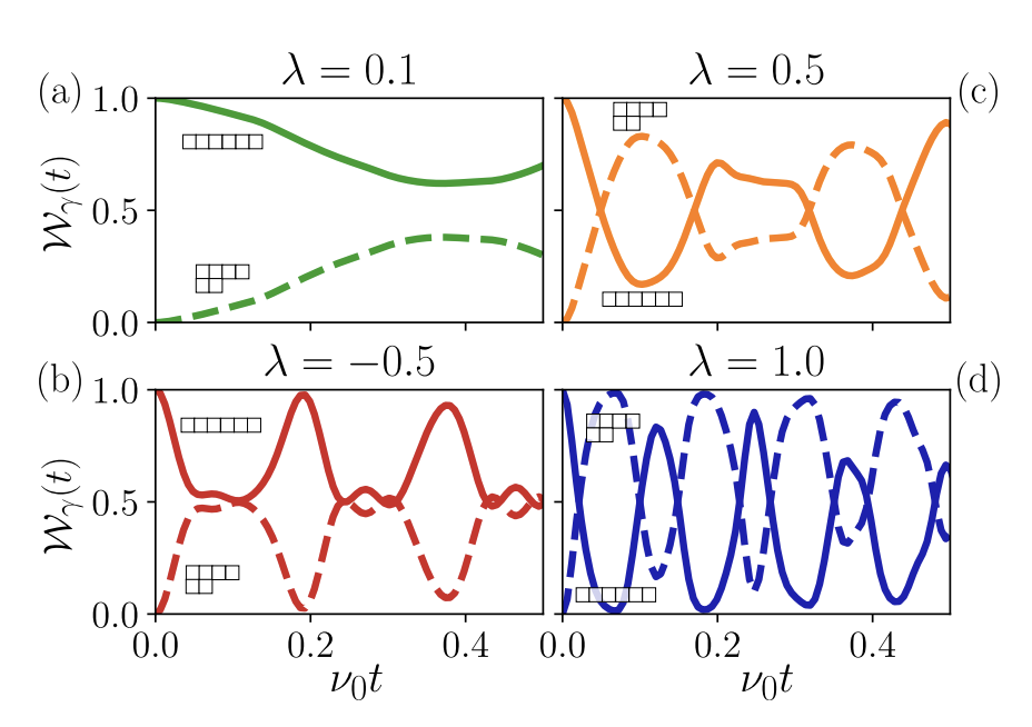 Ultracold Atom Mixtures Exhibit Robust Oscillations in Particle Exchange Symmetry