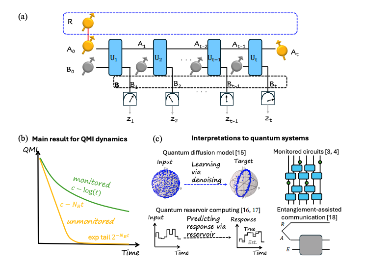 Quantum Information Lifetime Scales Exponentially with System Size via Monitoring.