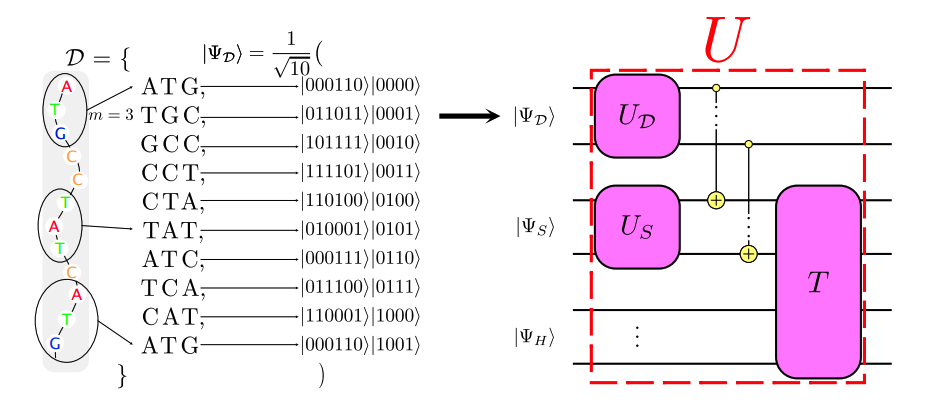 Quantum Sequence Alignment for Bioinformatics on Noisy Intermediate-Scale Quantum Devices.