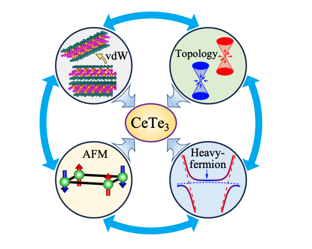 Van der Waals Material Exhibits High Mobility and Strong Correlation.