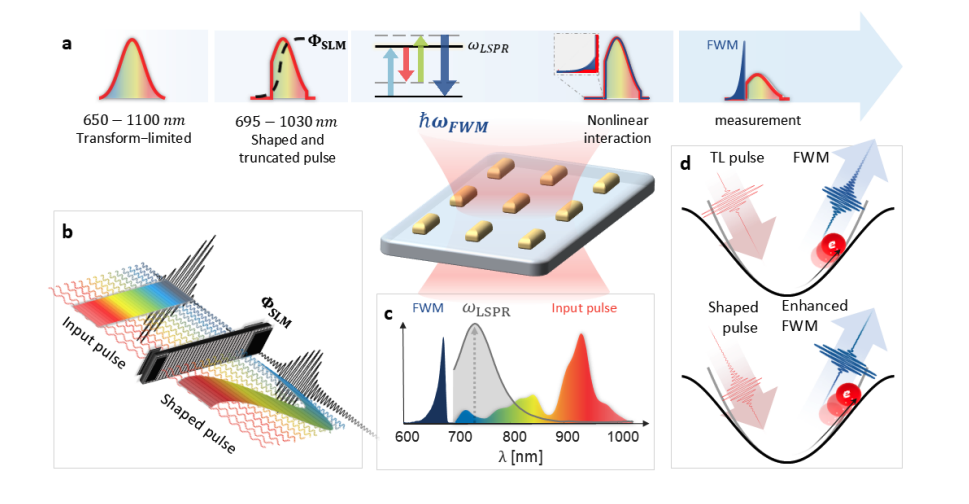 Ultrafast Pulse Shaping Enhances Nonlinear Light-Matter Interactions in Nanostructures.