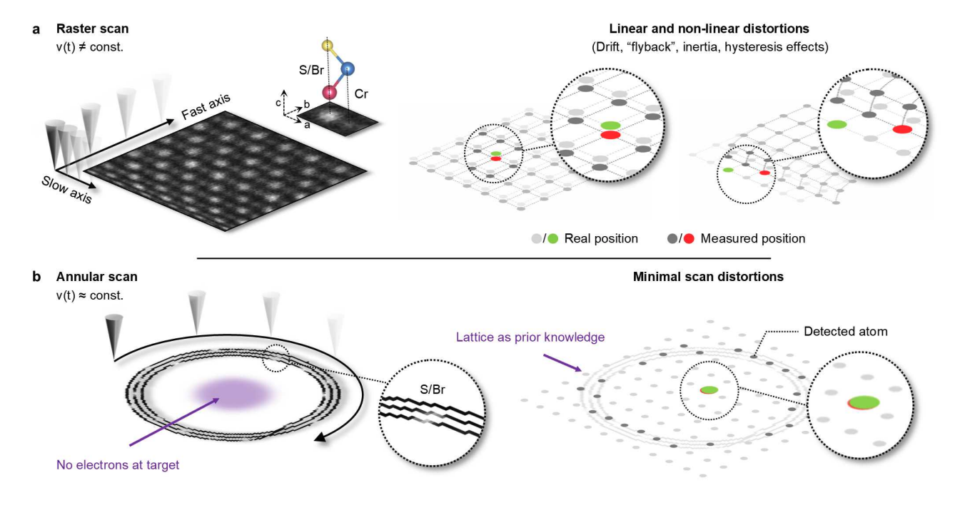 Precise Electron Control Enables Single-Atom Imaging and Dynamic Measurement