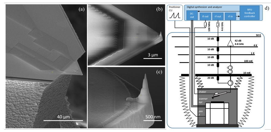 Superconducting AFM Enhances Force Sensitivity and Reaches Standard Limit.