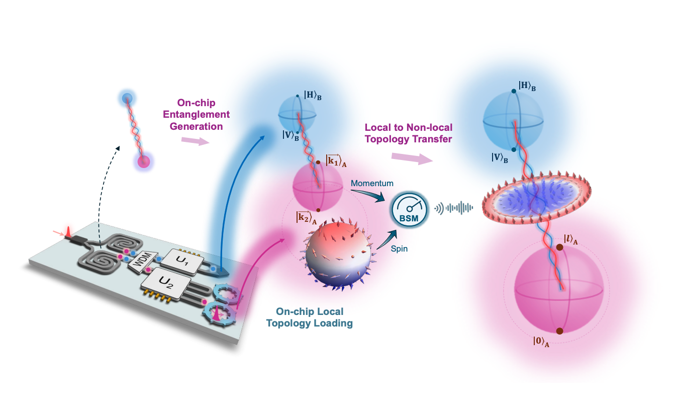Photonic Topology Enables Robust Quantum Information Transfer on Chip