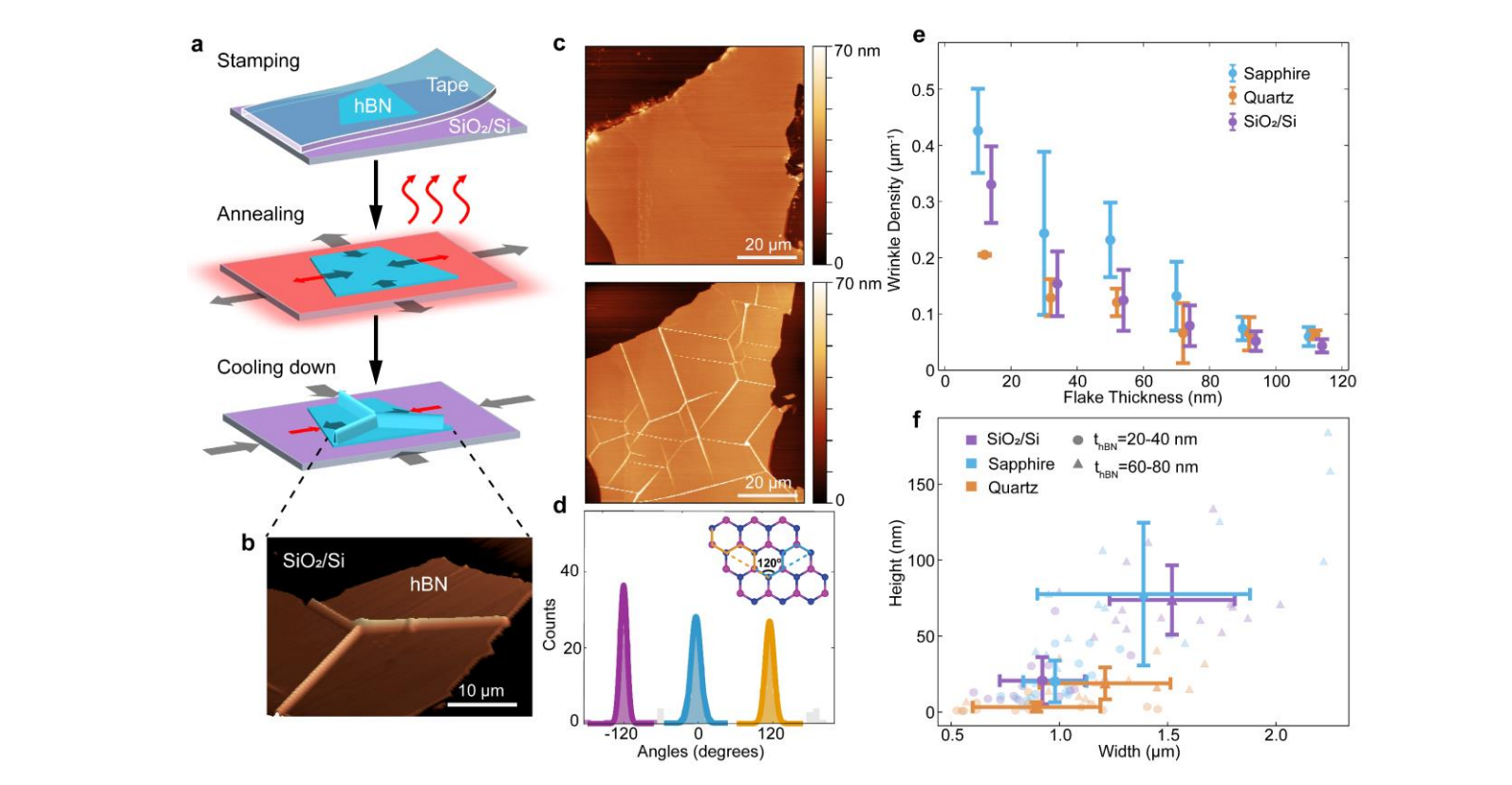 Hexagonal Boron Nitride Nanochannels Enable Biomolecule Localization and Imaging Via Wrinkle-Induced Confinement