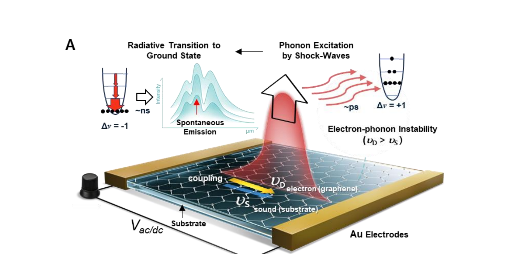 Graphene Layers Amplify Molecular Vibrational Mid-IR Radiation for Efficient Thermal Energy Transfer