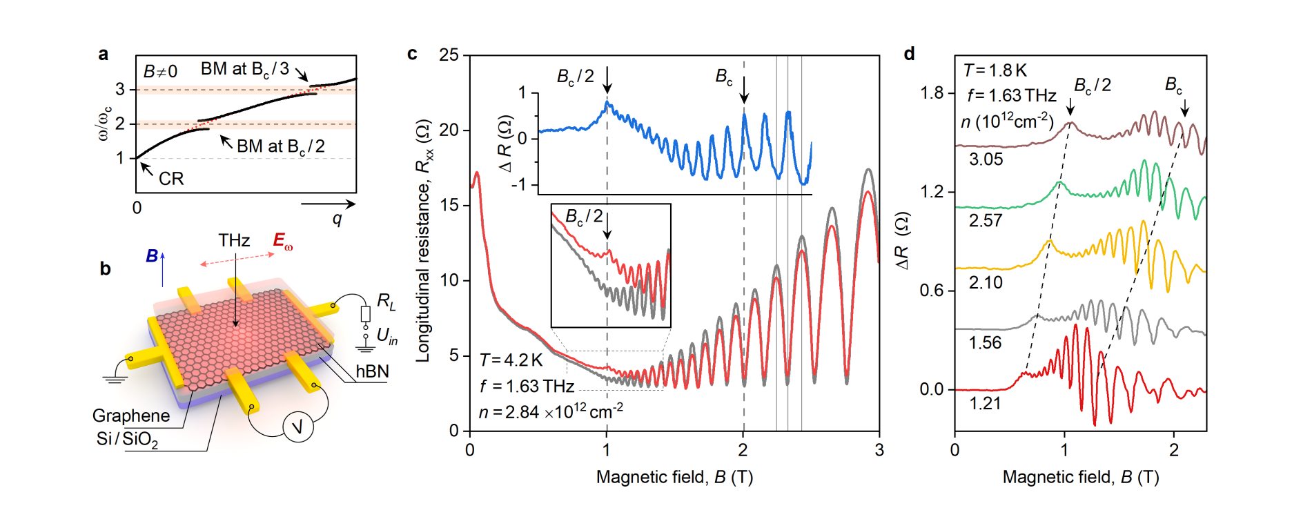 Graphene Bernstein Modes Demonstrate Plasmon-enhanced Magnetoabsorption with Saturation at Intensities Nearly an Order of Magnitude Lower Than Cyclotron Resonance