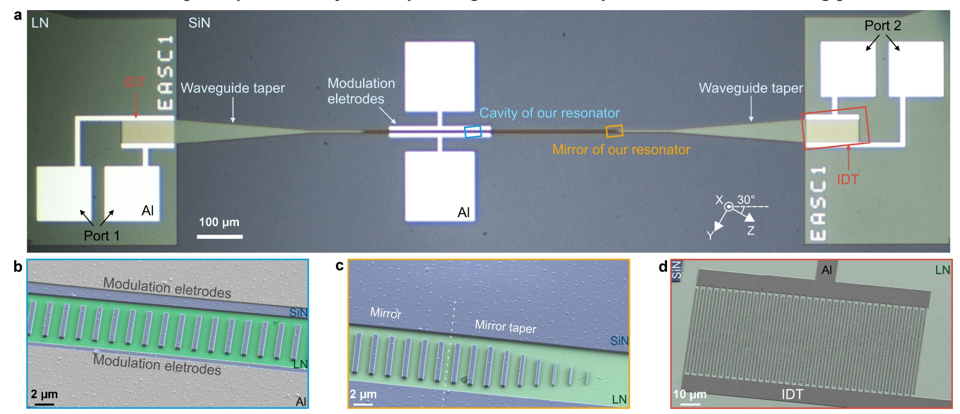 Lithium Niobate Phononic Crystal Resonators Achieve Gigahertz-Frequency Electro-Acoustic Control for Quantum Technologies