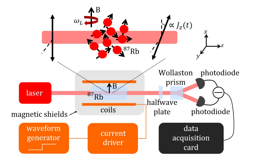 Spin-noise Quantum Sensor Enables Real-Time Signal Analysis and Adaptive Detection of Weak Magnetic Fields