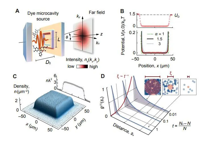 Observation of Critical Scaling Confirms. Universality Class in a Two-dimensional Bose Gas