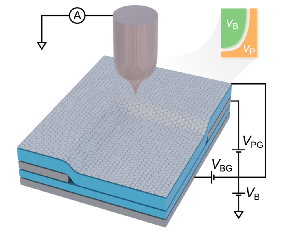 Scanning Tunnel Microscopy Visualizes Interaction-Driven Restructuring of Quantum Hall Edge States in Graphene