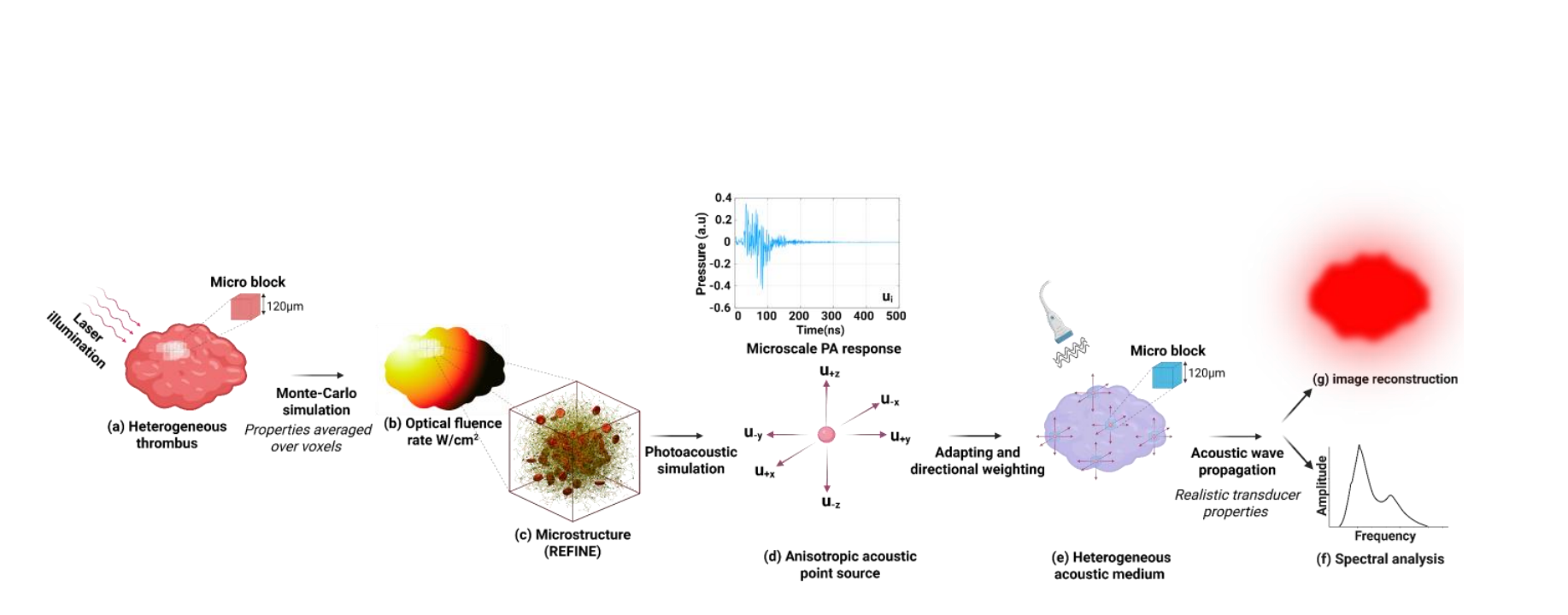 In Silico Thrombus Generation and Photoacoustic Simulations Enable Microstructure Exploration at Centimeter Scale