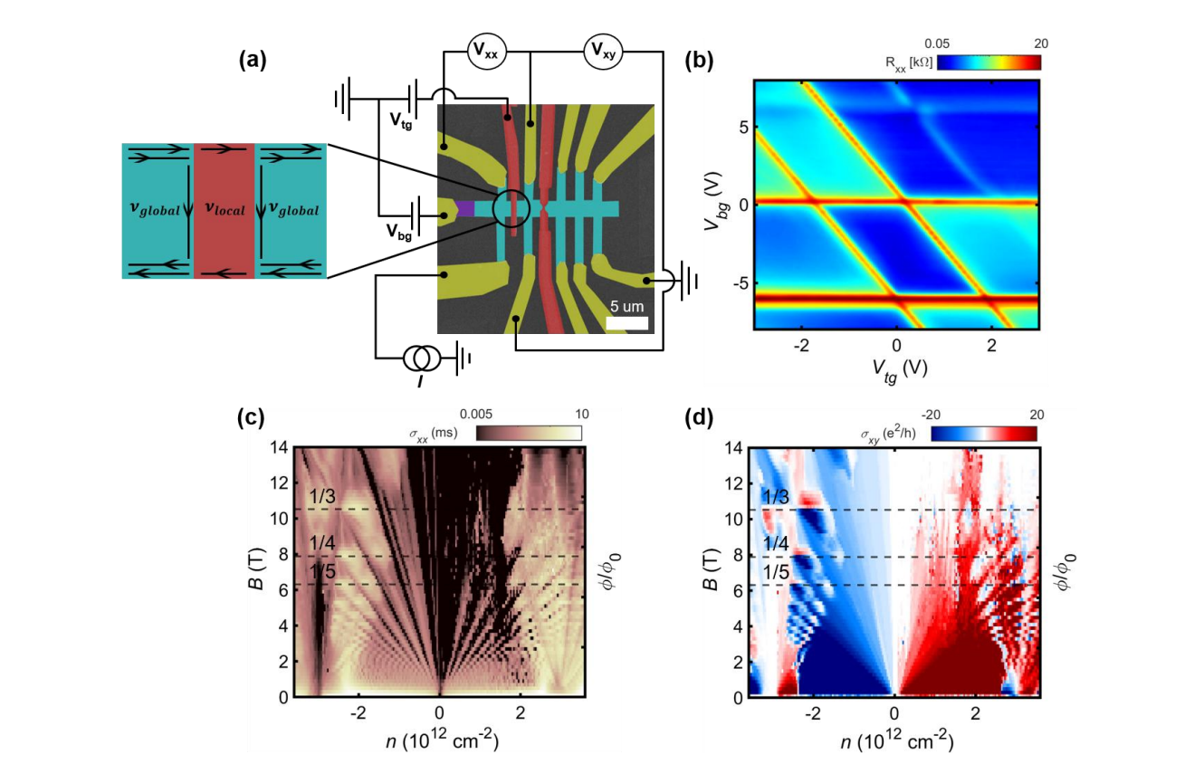 Graphene Junctions Demonstrate Interaction of Quantum Hall Channels in Hexagonal Boron Nitride