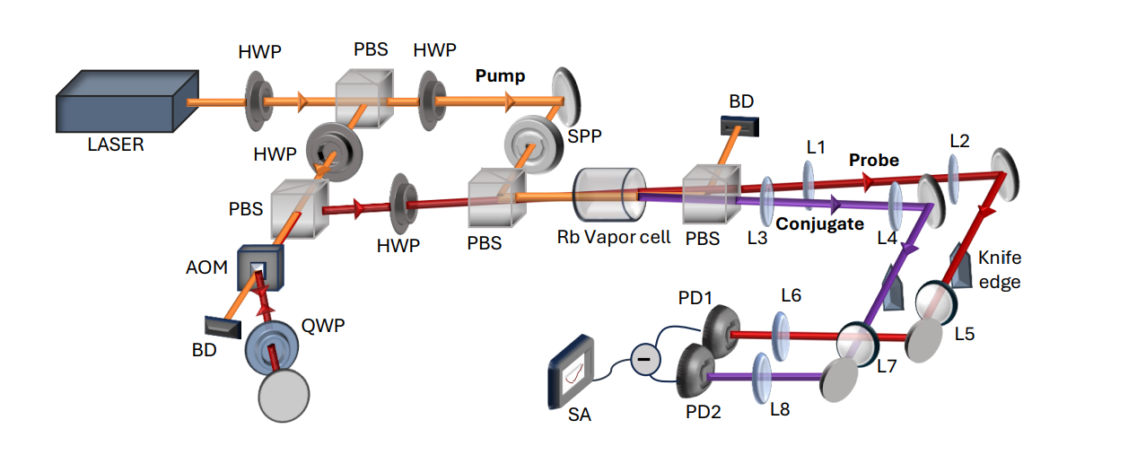 Structured Twin Beams Demonstrate Evolving Spatial Quantum Correlation Dynamics in Near and Far Fields