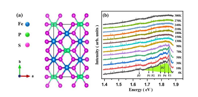 Fe2p2s6 Study Reveals Quantum Interference and D-d Excitations Governing 2D Antiferromagnetic Properties