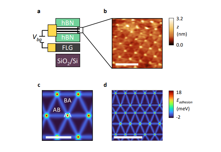 Moire Graphene Exhibits Linear-in-Temperature Resistivity above K Due to Phason-Driven Transport