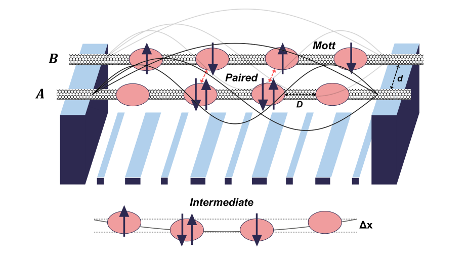 Electro-nanomechanical Quantum Simulator with Four Dots Exhibits Robust Bell Phase at Mesoscopic Scales