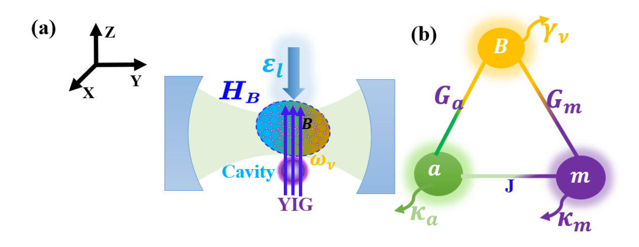 Molecular Optomagnonics Achieves Nonreciprocal Quantum Correlations, Robust up to 77K, Via Barnett Effect