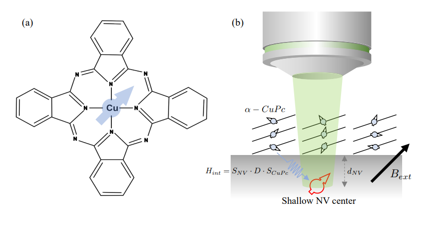 Quantum Sensing Identifies Copper-Phthalocyanine Electron Spin Interactions and Extracts Key Ensemble Parameters at Room Temperature