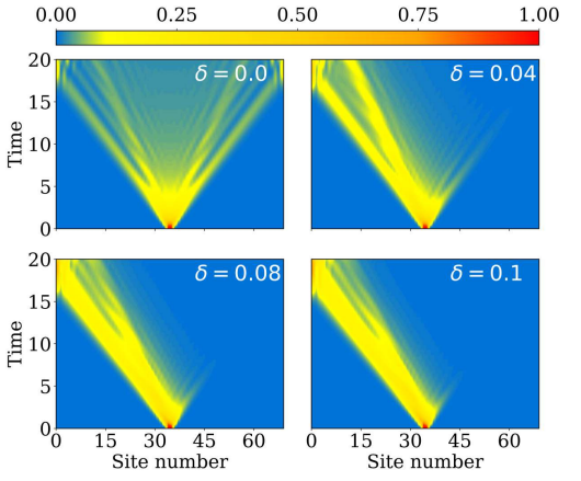 Directional Quantum Walks of Two Bosons Demonstrate Asymmetric Density Cones and Bloch Oscillations on Hatano-Nelson Lattices