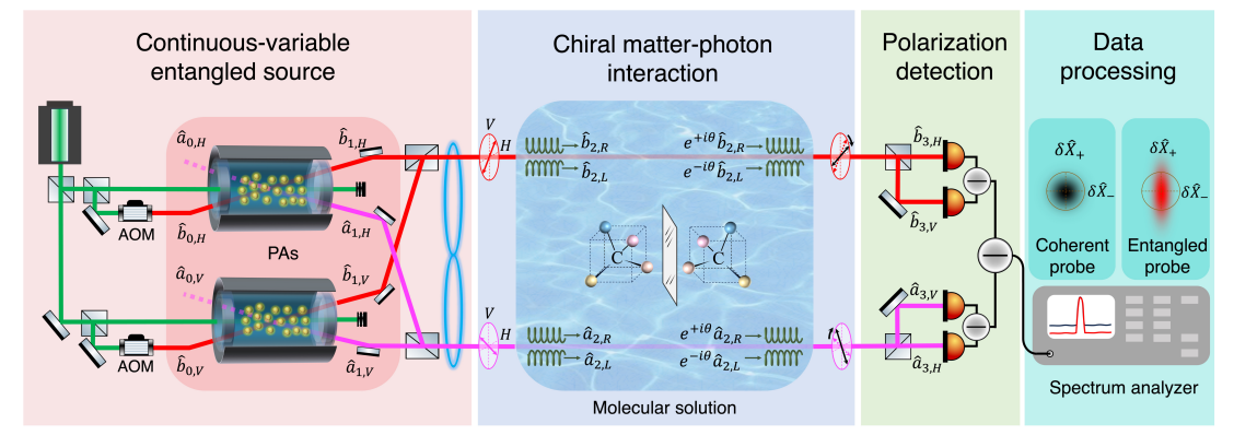 Quantum Technique Achieves 5 dB Improvement in Chiral Discrimination of Biomolecules, Surpassing Shot-Noise Limit