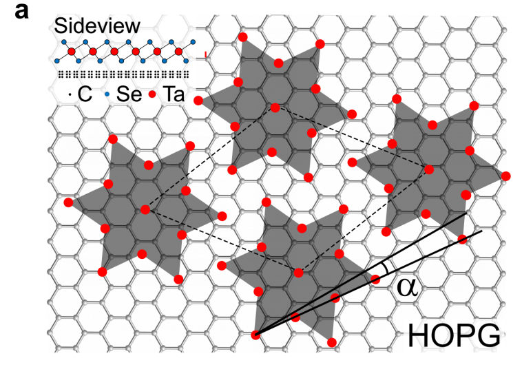 1t-tase Quantum Spin Liquid Candidate Exhibits Low-Energy Excitations Via Inelastic Tunneling Spectroscopy