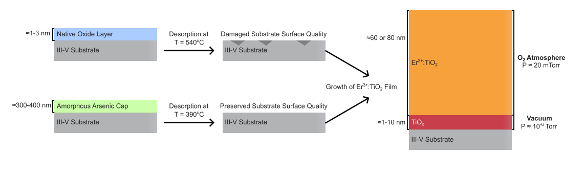 Rare-earth-doped TiO Thin Films Grown on III-V Semiconductors Enable Hybrid Quantum Photonic Interfaces with Sub-300pm Roughness