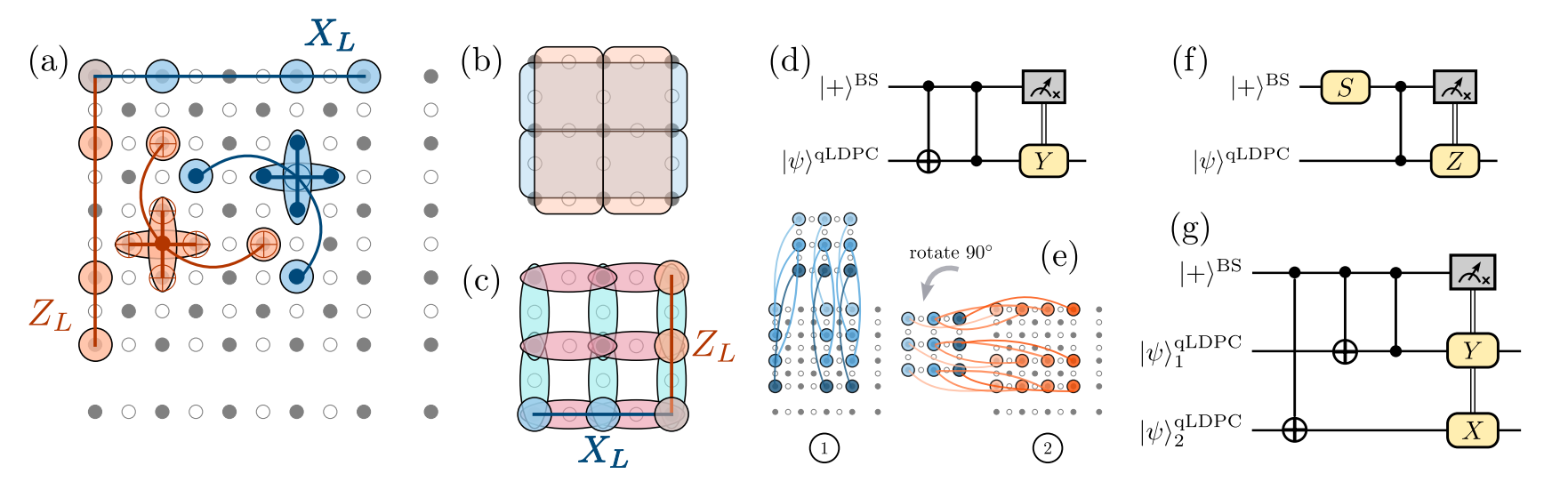 Quantum LDPC Codes Enable Addressable Gate-Based Computation on Individual Logical Qubits