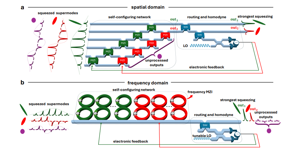 Variational Processing of Multimode Squeezed Light Reduces Photonic Circuit Size and Measurement Overhead