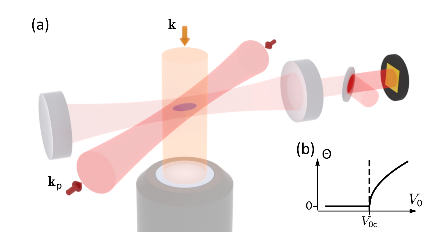 Microscopy Reveals Long-Range Density-Wave Ordering in Ultracold Gases Via Cavity-Mediated Interactions