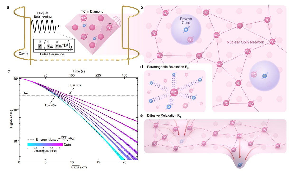 Doubly Disordered Spin Networks Exhibit Emergent Decoherence Law Robust across Parameter Regimes