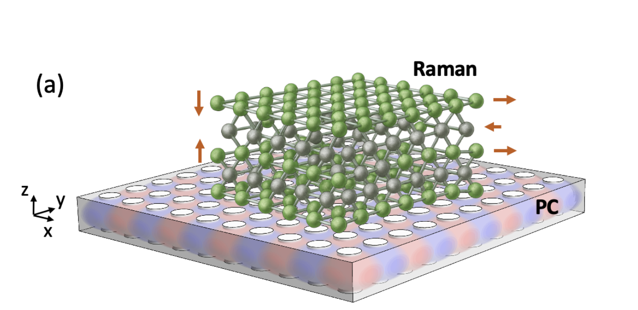 Fluctuation Amplification Engineering in Multimode Raman-Cavity Systems Enables Non-Reciprocal Control of Collective Fluctuations