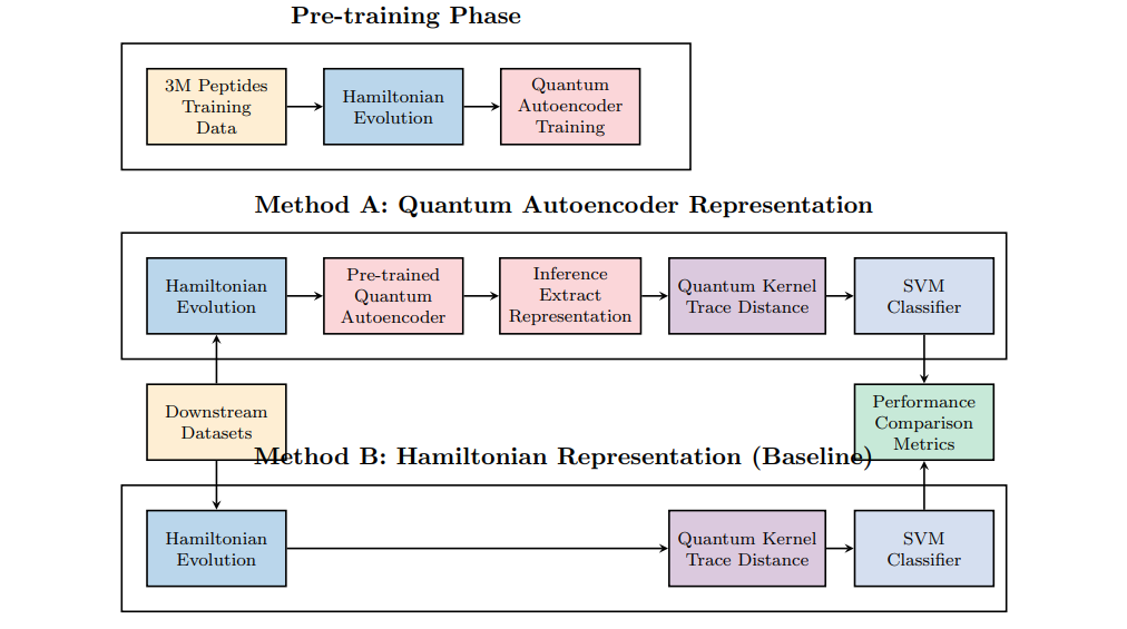 Quantum Autoencoder Generates Efficient Feature Maps from 3 Million Peptide Sequences, Achieving Improved Classification Accuracy with 900 Parameters