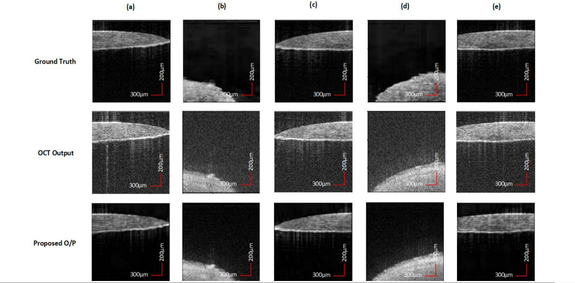 Deep Learning Reconstructs Speckle-Reduced OCT Images Directly from Wavelength Domain