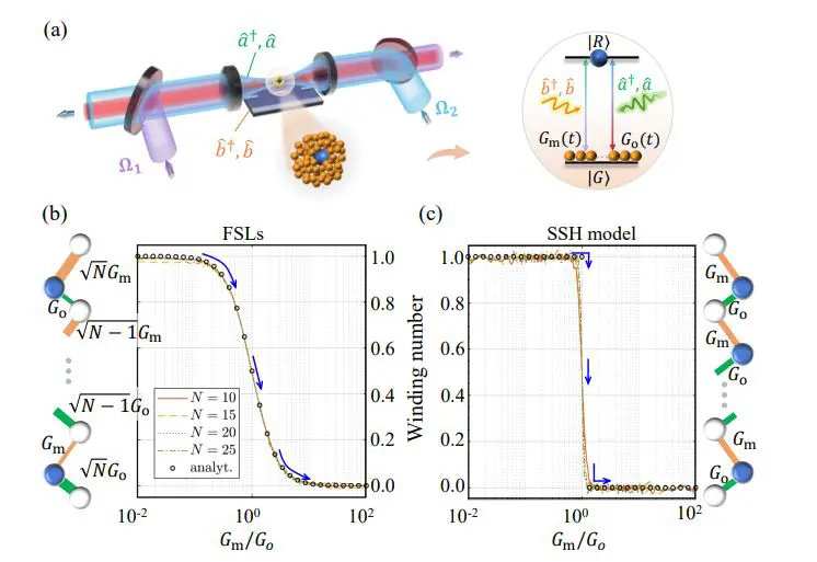Rydberg Atom System Enables Topological Quantum Transducers for Single-Photon Conversion