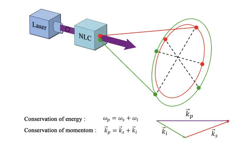 Quantum Optical Techniques Enable Biomedical Imaging with Enhanced Signal and Reduced Radiation Dose