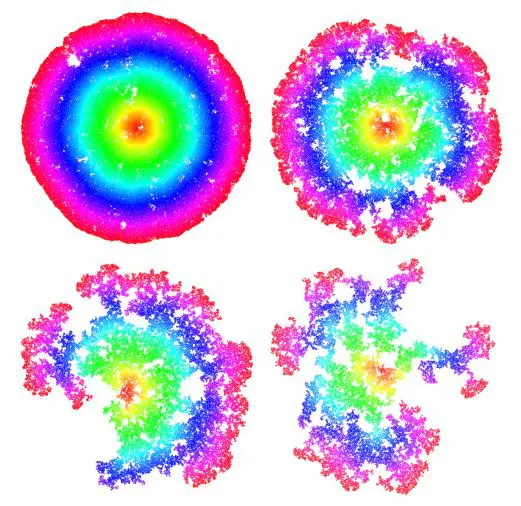 Conformally Covariant Geodesic Metric on CLE Carpets Uniquely Exists As Scaling Limit of Minkowski First Passage Percolation