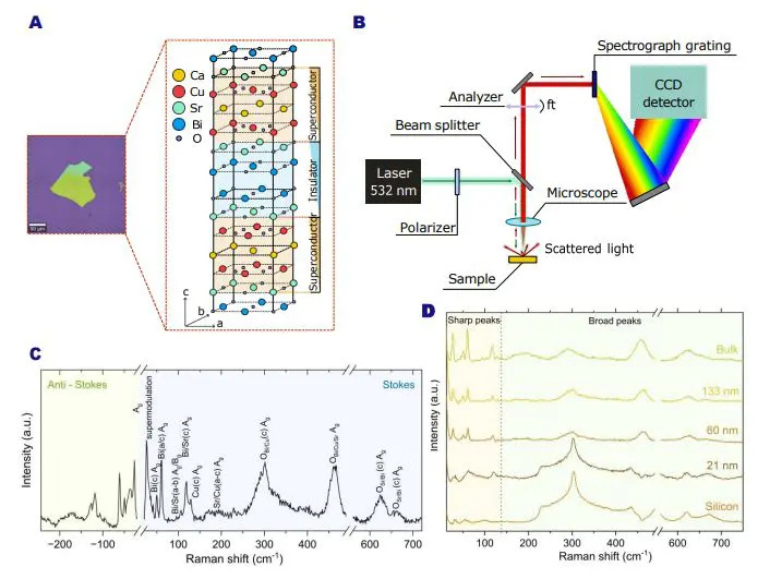 Quantifying Twist Angles in Cuprate Heterostructures Reveals Angle-Dependent Superconducting Properties