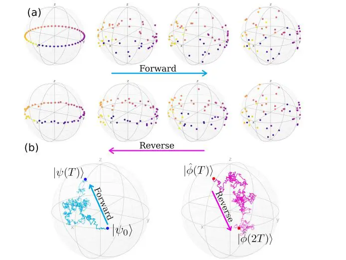 Quantum Reverse Diffusion Reverses Noise in Pauli Channels, Enabling New Tomography and Gate Paradigms