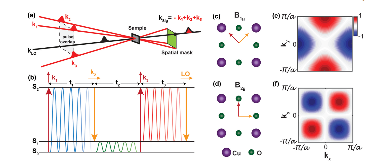 Direct Measurement Reveals Anti-correlated Raman Excitations in Underdoped Bi-2212’s Nodal Regions