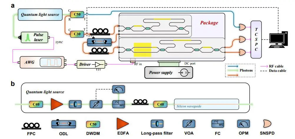 Lithium Niobate Chip Converts Time-bin to Path Qubits with over 97% Fidelity for On-chip Networks