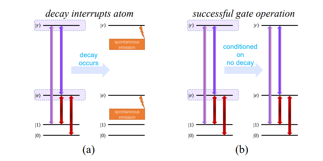 Wave-function Approach Refines Coherent Control of Atomic Qubits Conditioned on No-decay Events