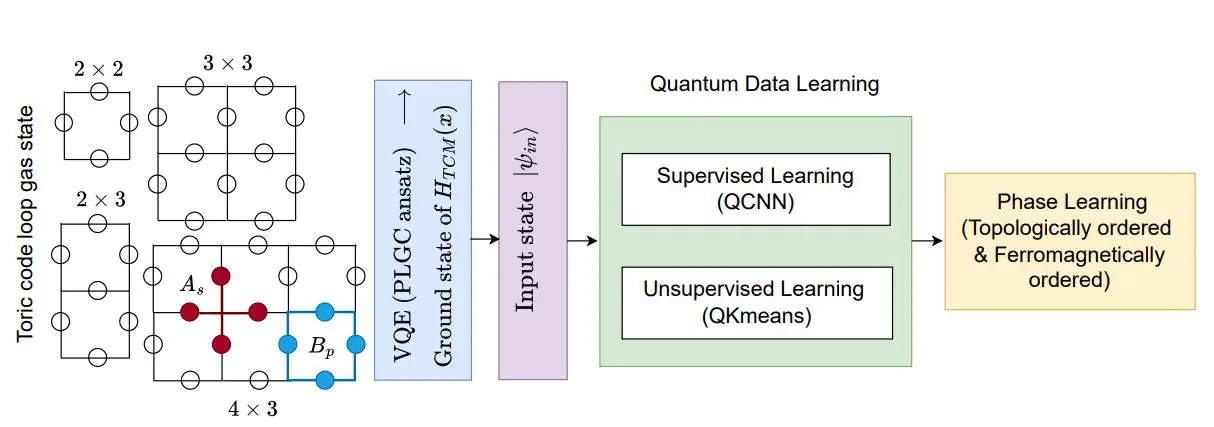 Quantum Data Learning Classifies Toric Code Loop Gas Phase Transitions with 0.4 and 0.25 Fidelity at 0.2 Field