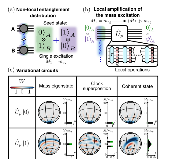 Atomic Ensemble Quantum Networks Enable Non-Local Mass Superpositions for Sensitive Interferometry