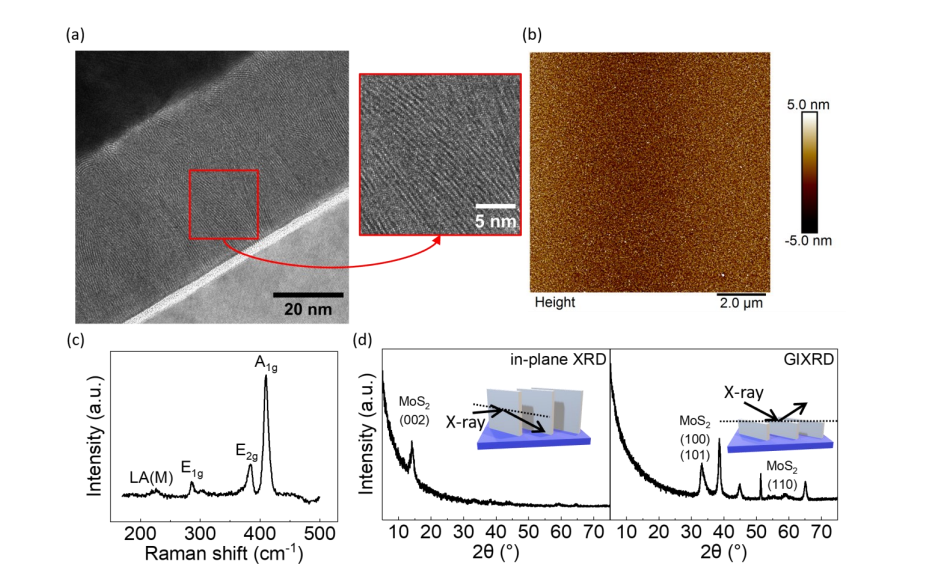 Vertically Aligned MoS Films with Cu Achieve 85% Reliable Non-Volatile Resistive Switching